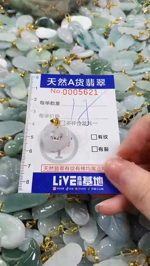 颈饰未镶嵌翡翠天然a货翡翠