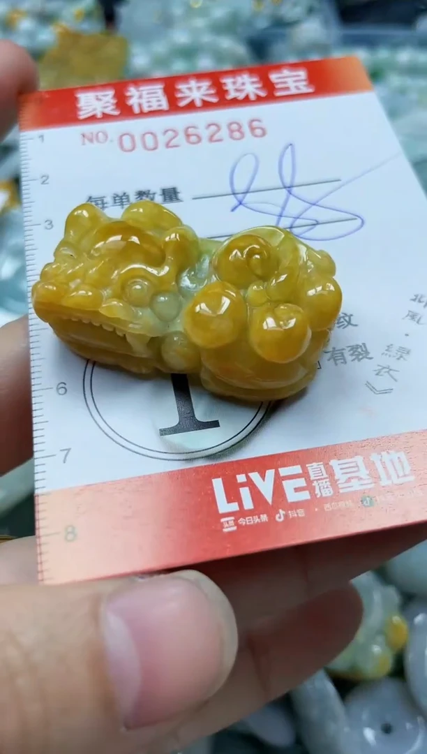 【闪购商品】翡翠颈饰未镶嵌闪购0026286