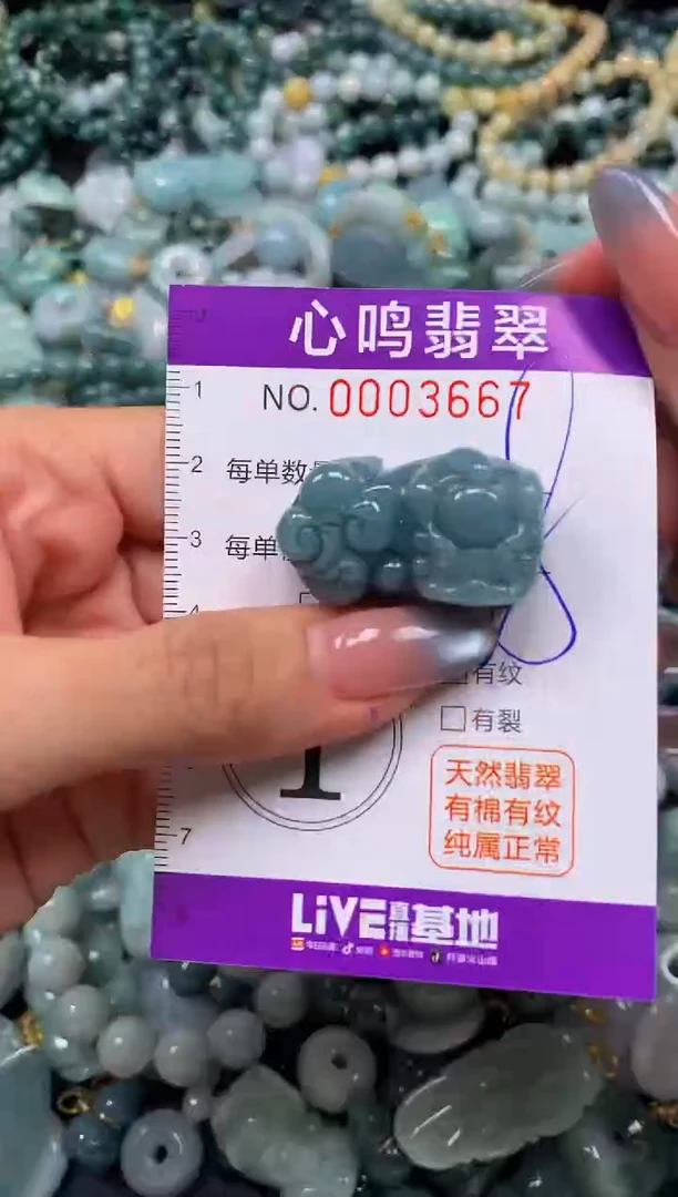 颈饰未镶嵌翡翠闪购003667
