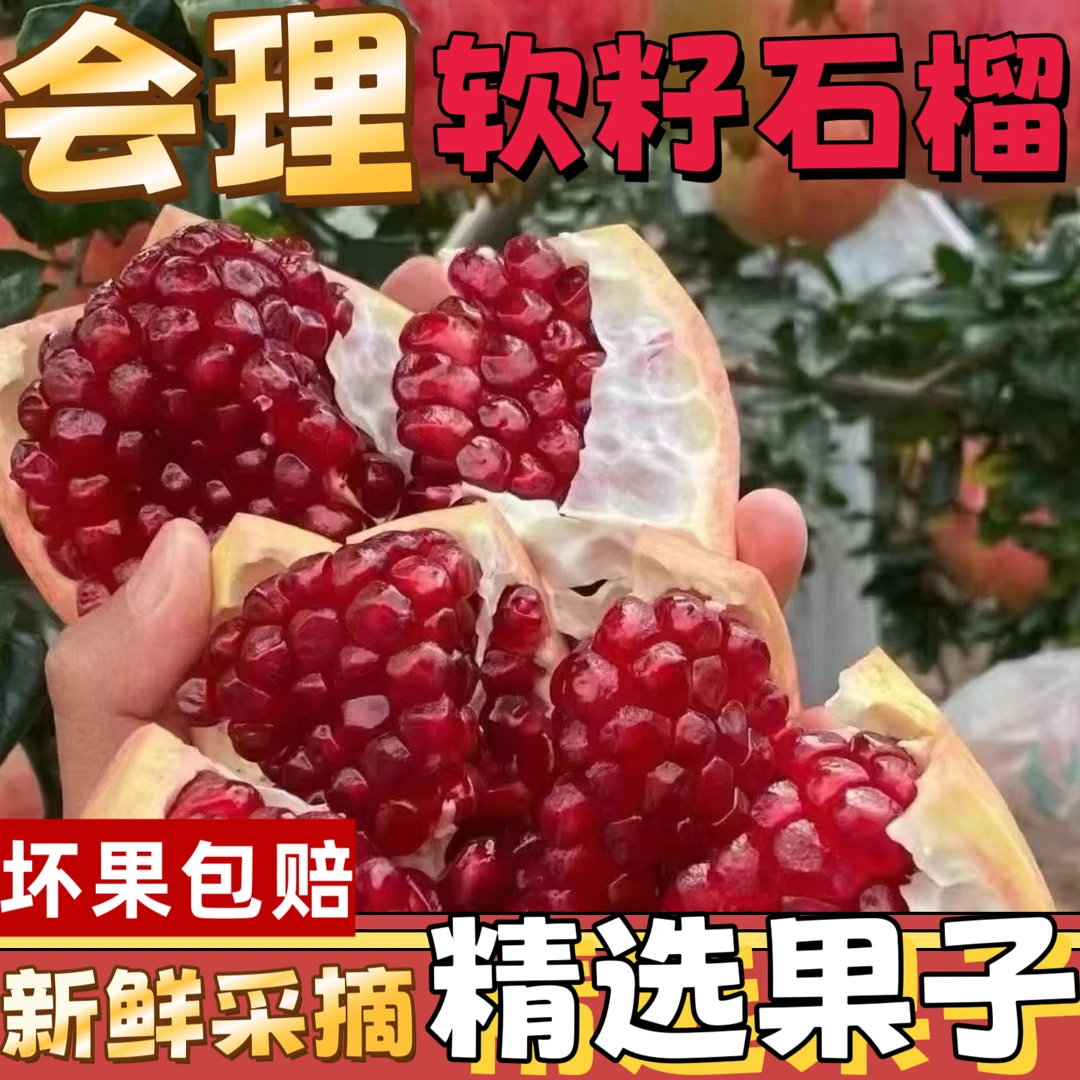 【产地直发】正宗会理突尼斯软籽石榴爆甜红石榴新鲜石榴整箱批发
