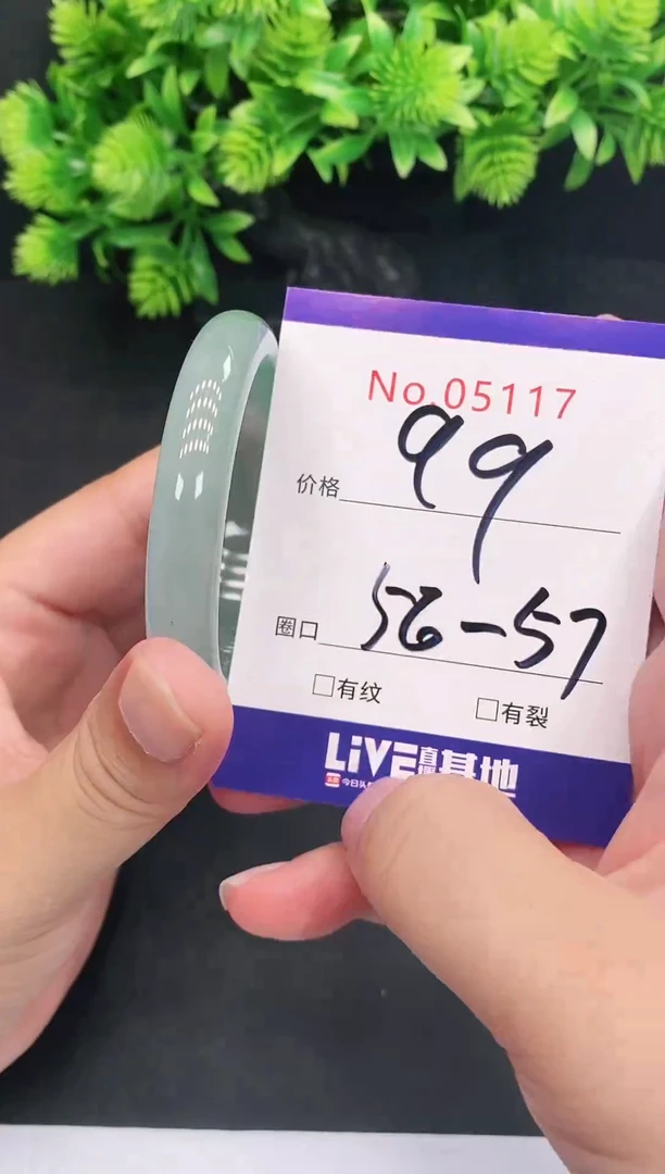 未镶嵌手镯翡翠5117