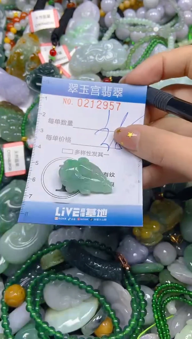 颈饰未镶嵌翡翠闪购C0212957