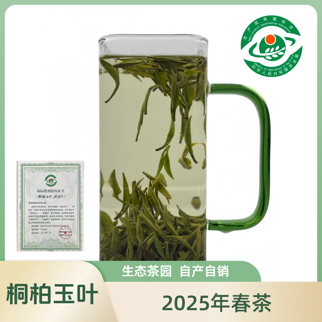 桐柏玉叶2025年桐柏山生态园桐柏玉叶绿茶自产自销特色产品