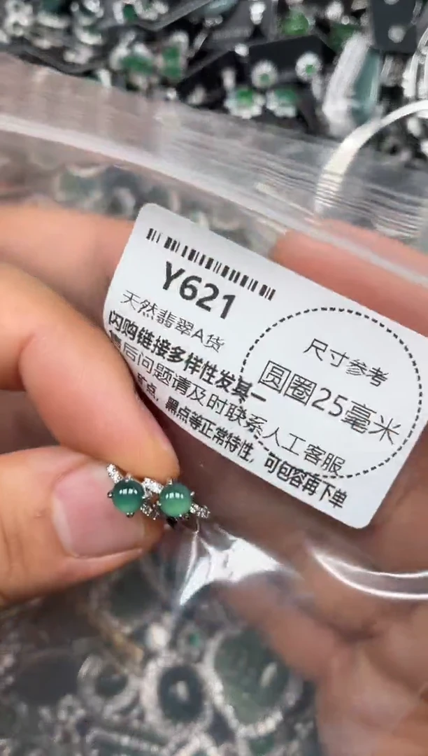 颈饰未镶嵌翡翠Y621耳扣