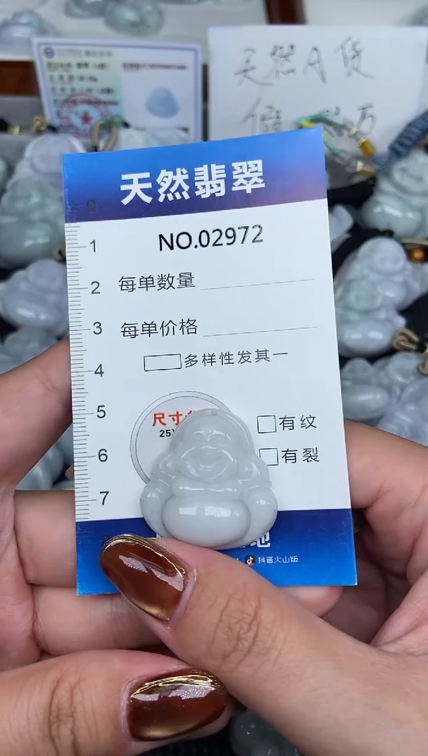 颈饰未镶嵌翡翠纯天然A货翡翠2972