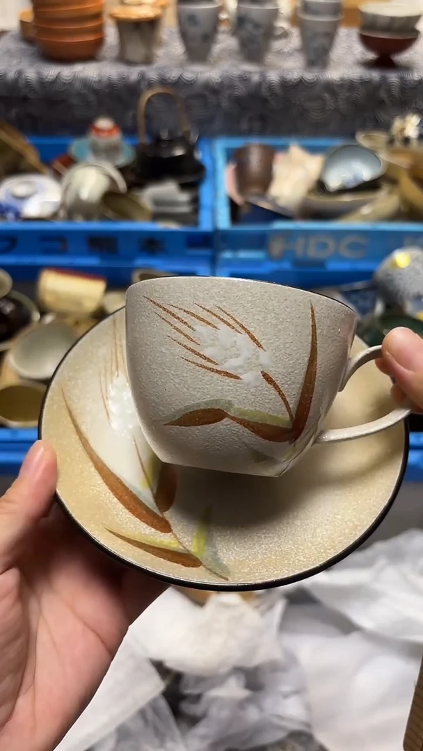 瓷片喵喵家都是大漂亮