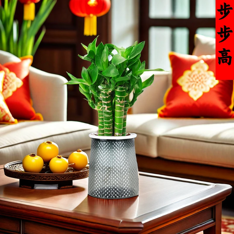 步步高节节高升荷花竹室内好养易活植物土培盆栽桌面盆景