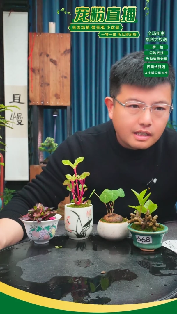 无花朵养****我苔藓微景观668号