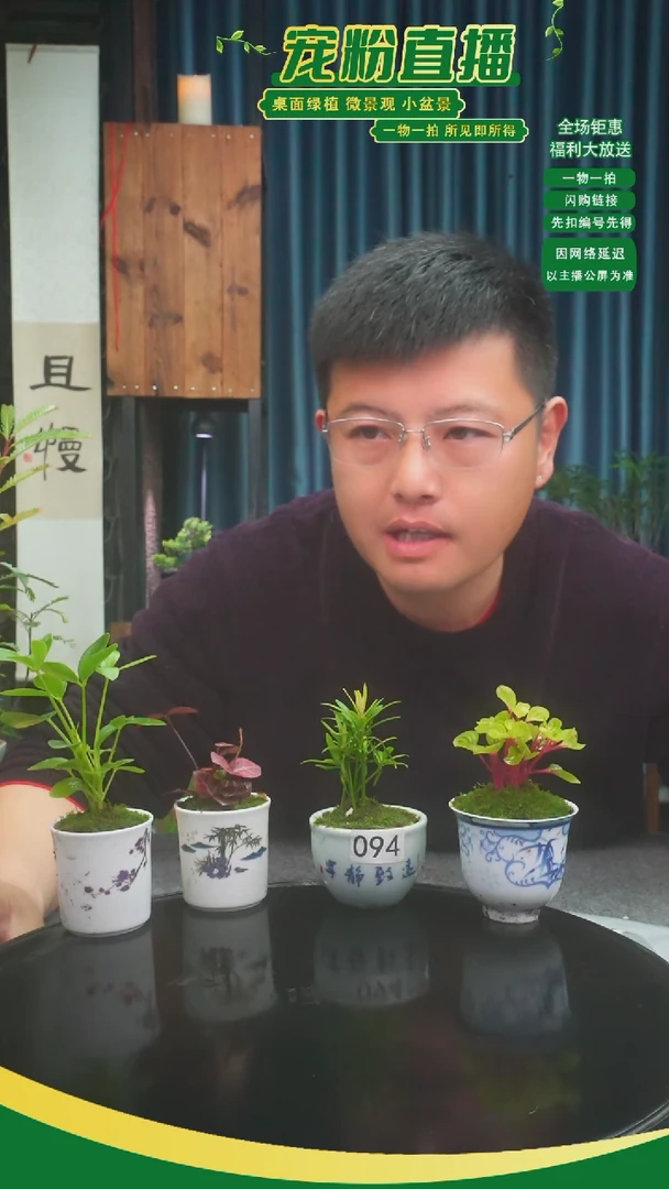 无花朵平**乐苔藓微景观094号