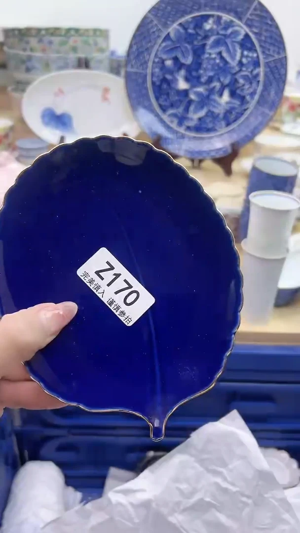 【闪购商品】瓷片170