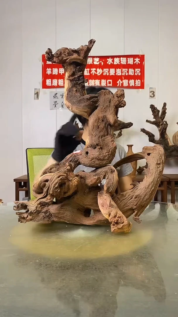 香榧木点**金金丝红木   羊蹄甲