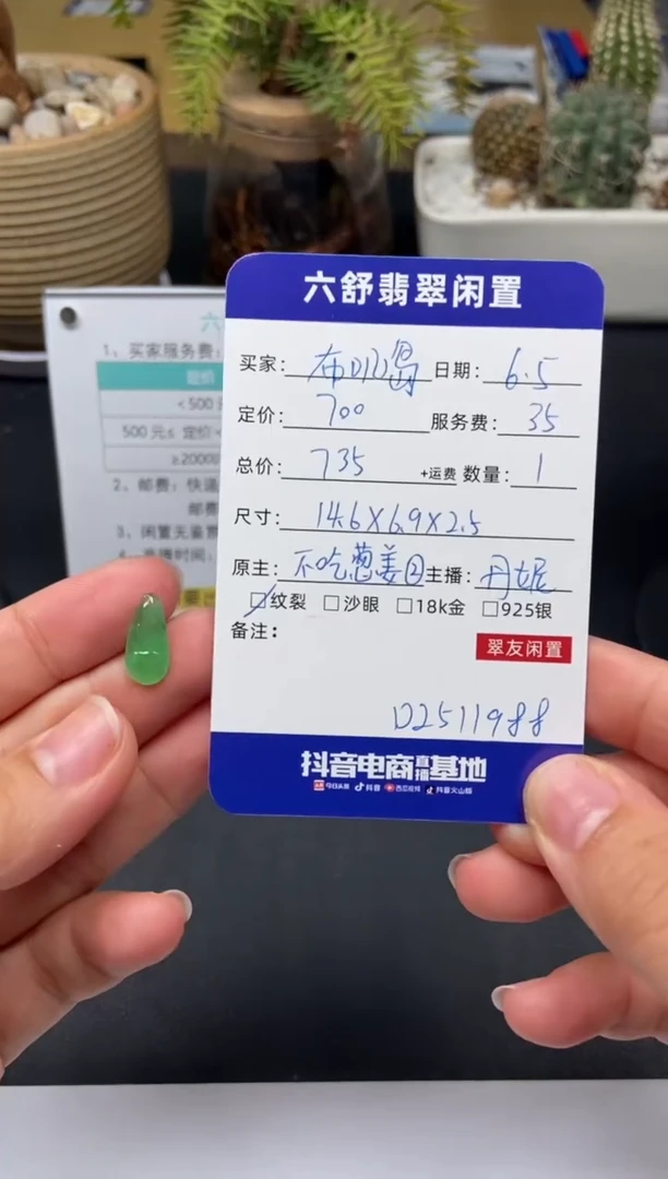 翡翠未镶嵌颈饰D2511988