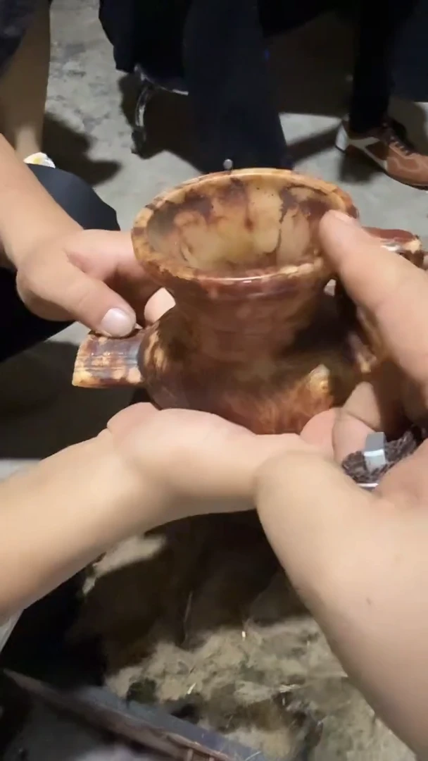 木闪电购链接精品摆件王鸟壶