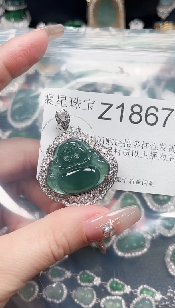 【闪购商品】翡翠颈饰未镶嵌赠皮绳1867