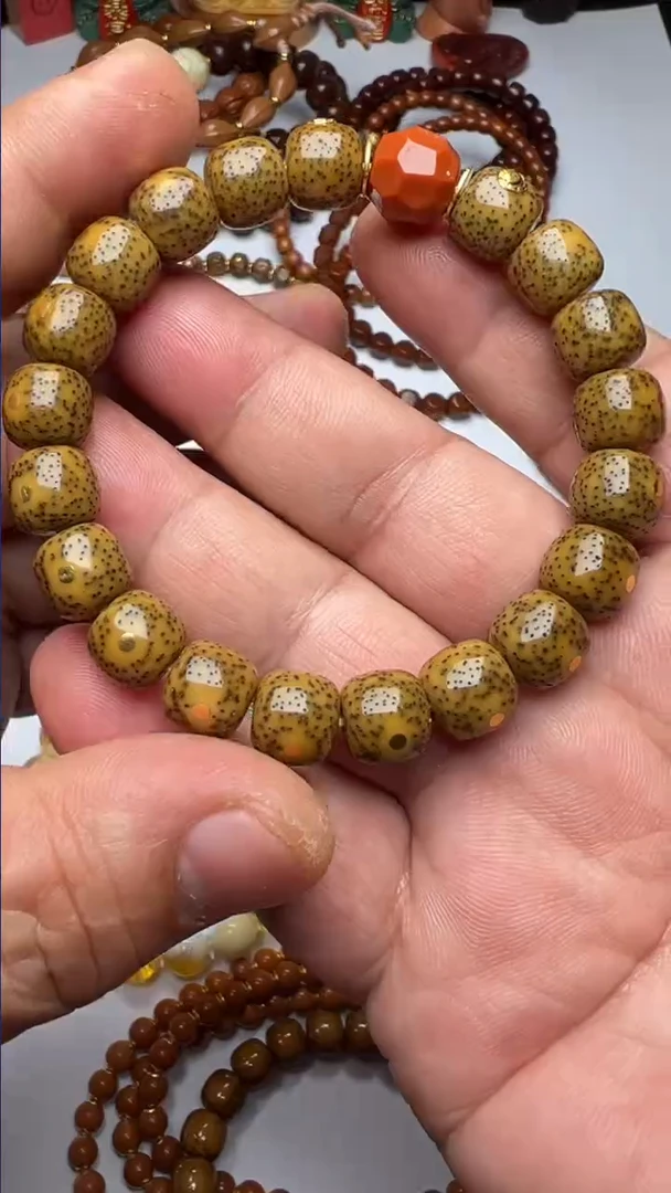 手串星月菩提精品星月