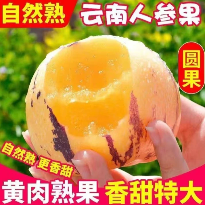 10斤大果云南石林人参果老人吃的水果控糖水果批发