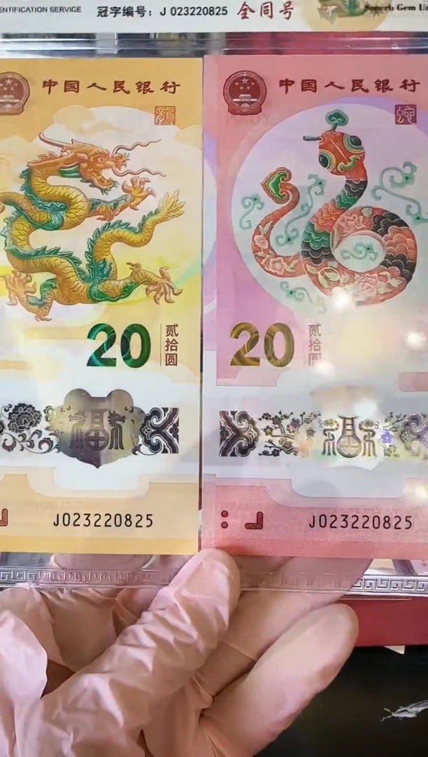 【闪购商品】塑料2025蛇钞全同号023220825裸