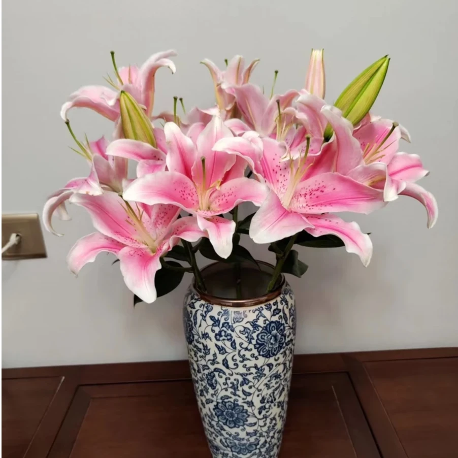 索尔邦香水百合多头-6朵粉百合今天下单明天送达-香味浓郁花期优秀鲜花切花-鲜花批发直播次日达包邮