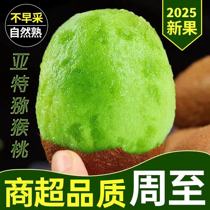 正宗陕西周至亚特猕猴桃当季新鲜即食绿心猕猴桃现摘水果整箱