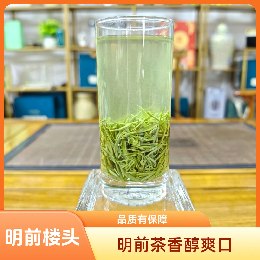 四川毛尖新茶绿茶明前中芽