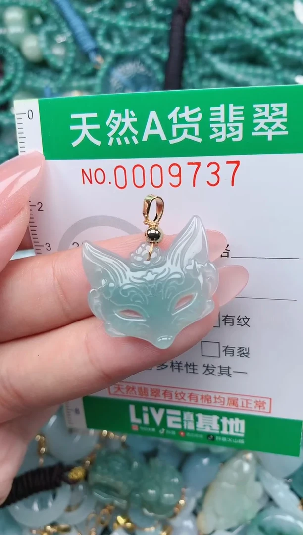 翡翠未镶嵌颈饰.0009737