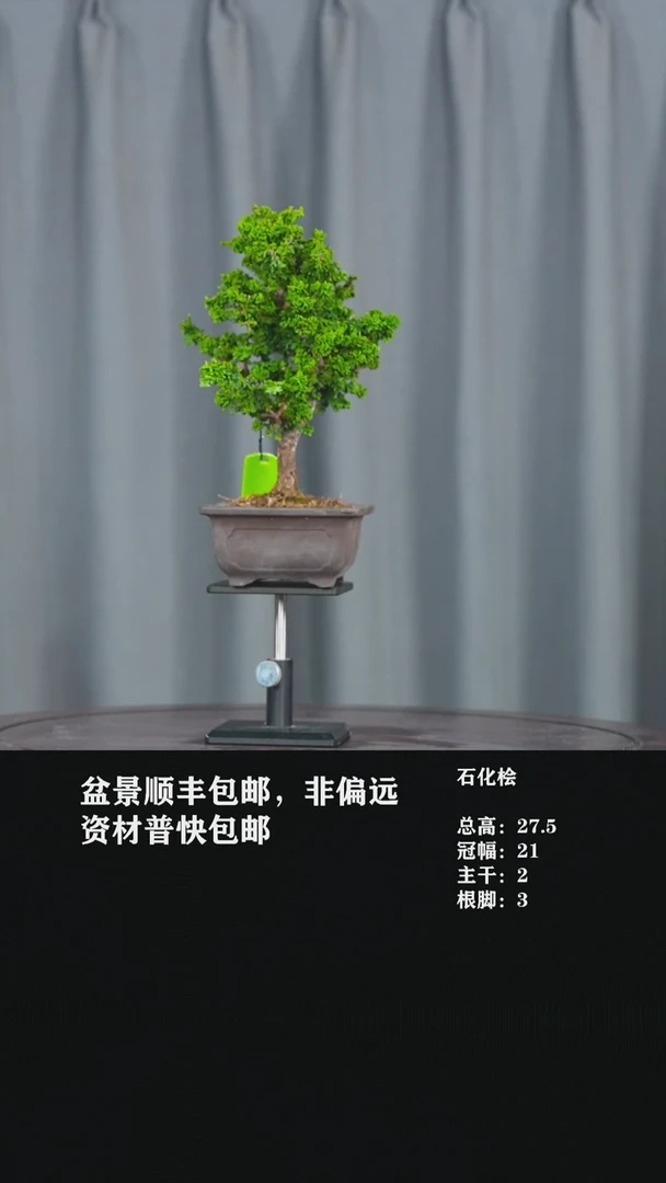 【闪购商品】-石化桧-X85