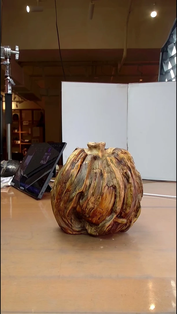 【闪购商品】原木松明子树根花器