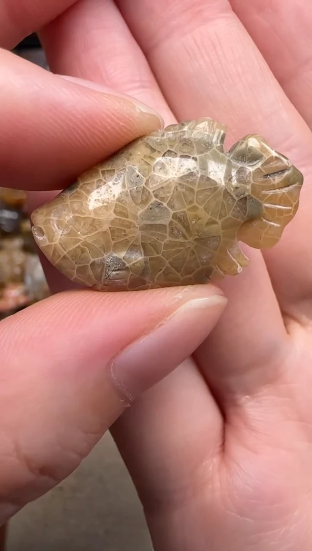 硅化珊瑚（珊瑚玉）未镶嵌颈饰481