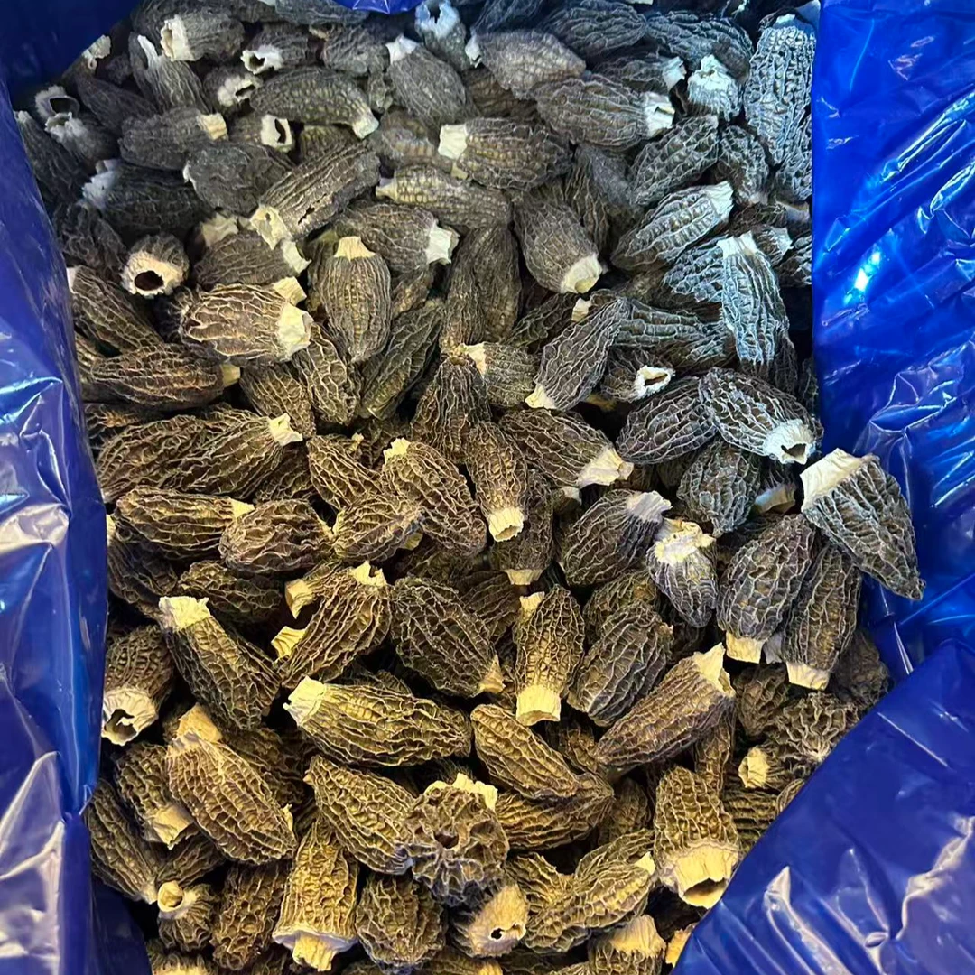 半嘢圆中羊肚菌 靓 厚肉