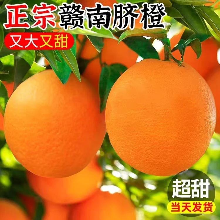 正宗赣南脐橙当季新鲜水果产地直发清甜多汁可手剥