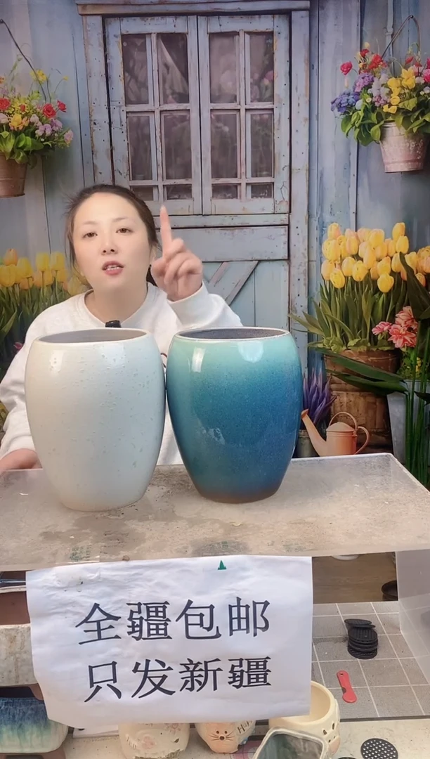 020白蓝蛋形两个装  口14高20