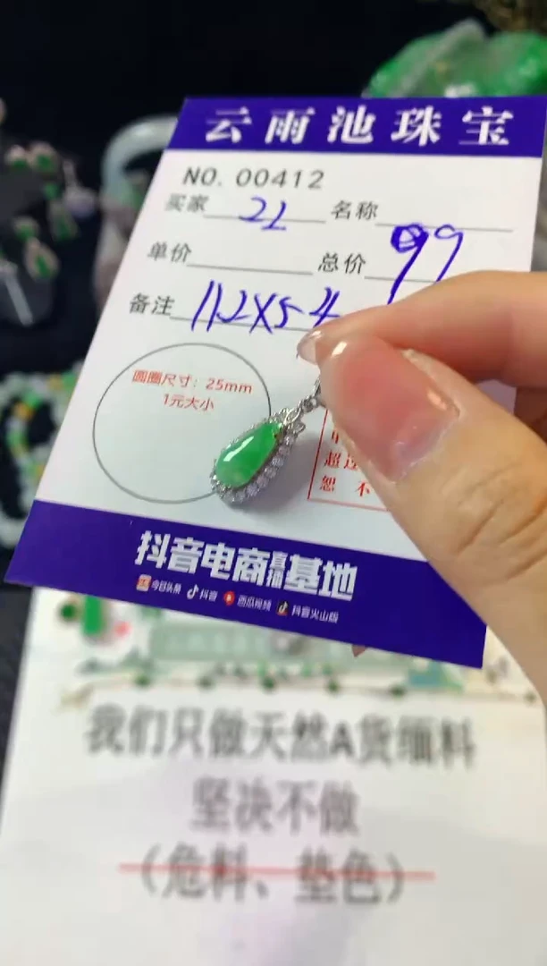 翡翠银S925镶嵌颈饰翡翠