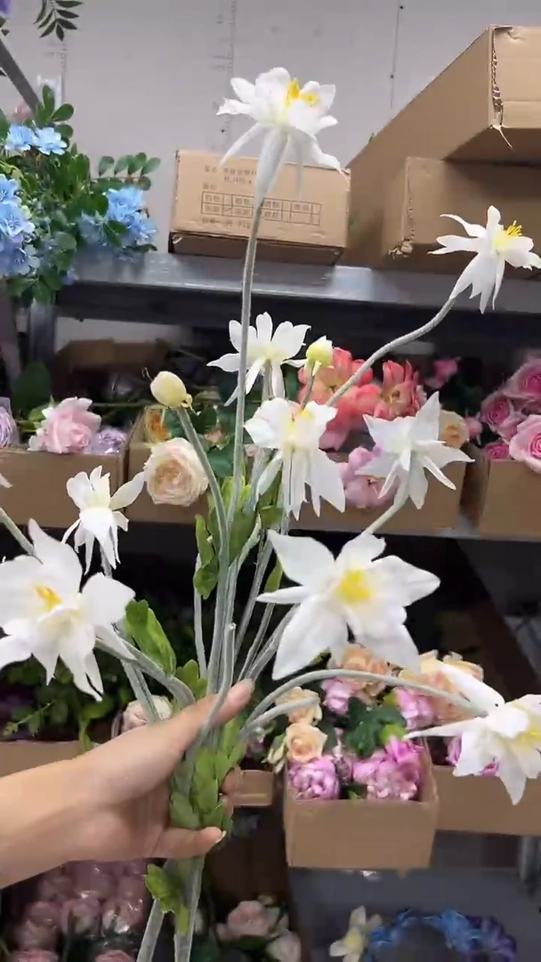 2枝白色漏斗花花