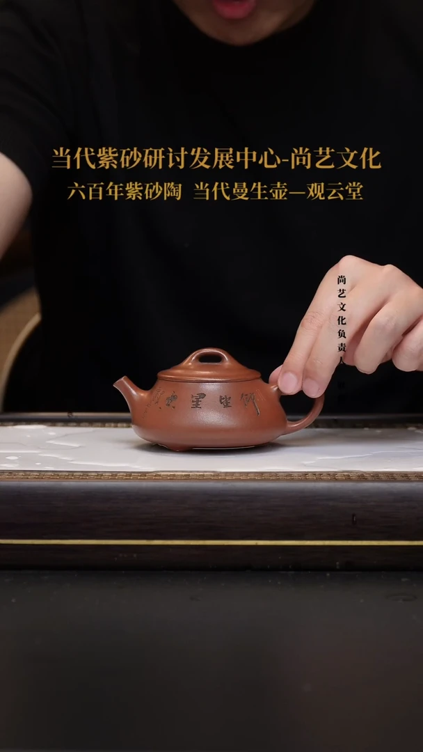 茶壶紫砂宜兴紫砂 紫砂壶 FWH 红清水 石瓢