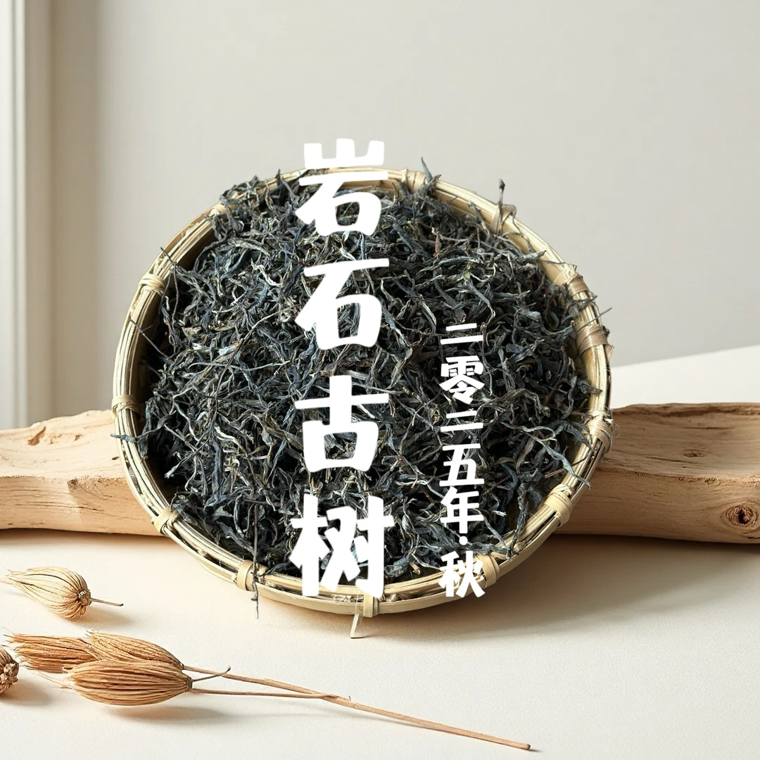 【支书严选】2025年 邦旭 岩石古树秋茶 生茶 散茶