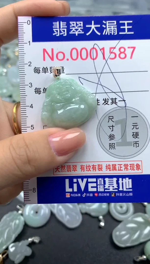 颈饰未镶嵌翡翠1587