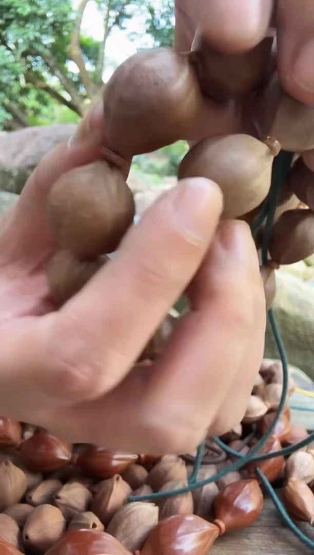 手串橄榄核19.28精品梅林铁核200