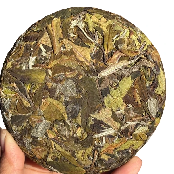 【某有林荒野月光白】-2024年古树春白茶饼100克饼