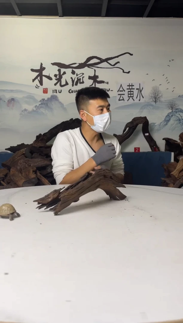 a595木光沉木木光沉木595