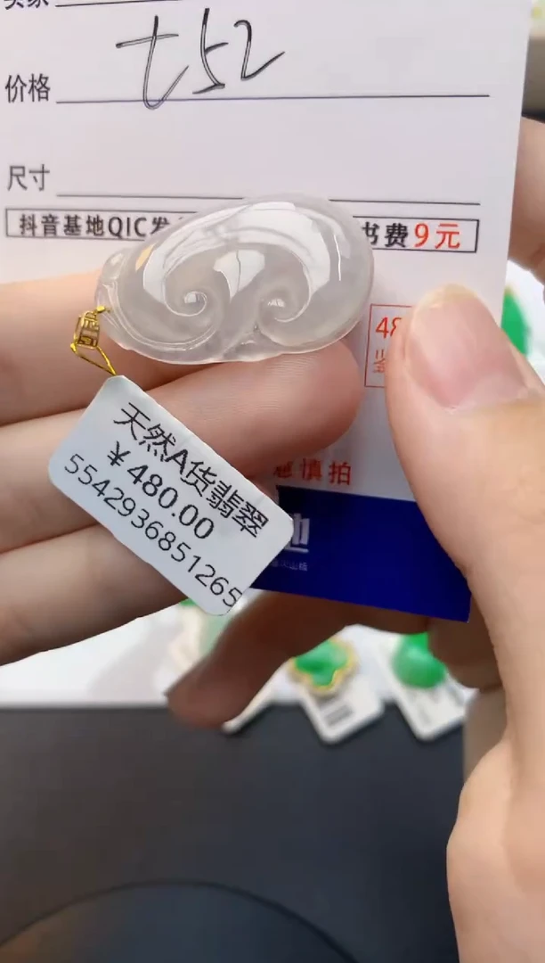 颈饰未镶嵌翡翠天然缅甸A货翡翠百元以上9元证书费自理