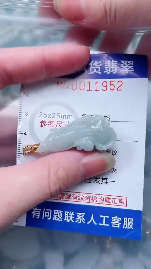 翡翠未镶嵌吊坠(不含链)1