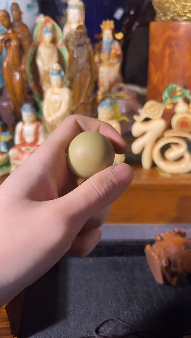 黄杨木1111111111111