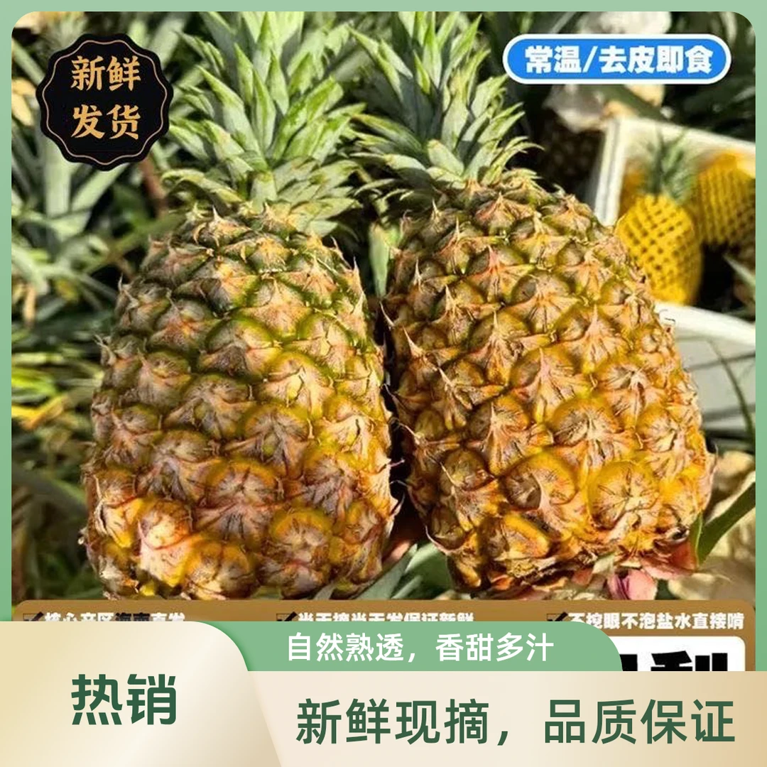海南金钻凤梨中果7.5-8斤新鲜水果香甜多汁应季特产现摘现发香甜