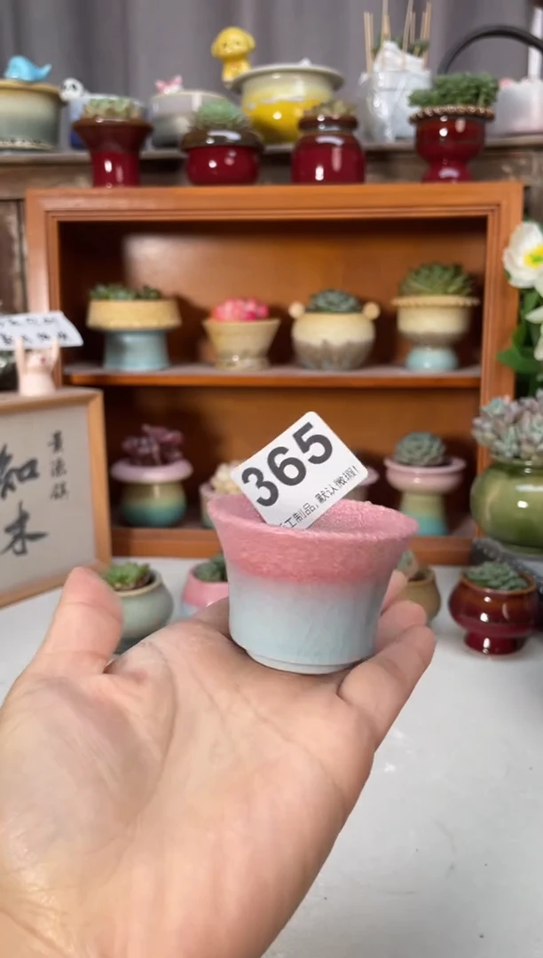 瓷片365福利知木小方花盆编号