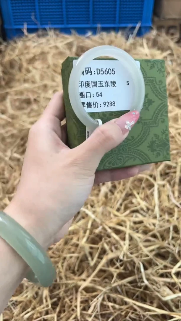 未镶嵌手镯石英质玉D5605