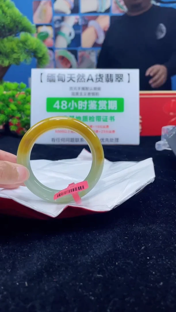 【闪购商品】翡翠手镯未镶嵌手镯1