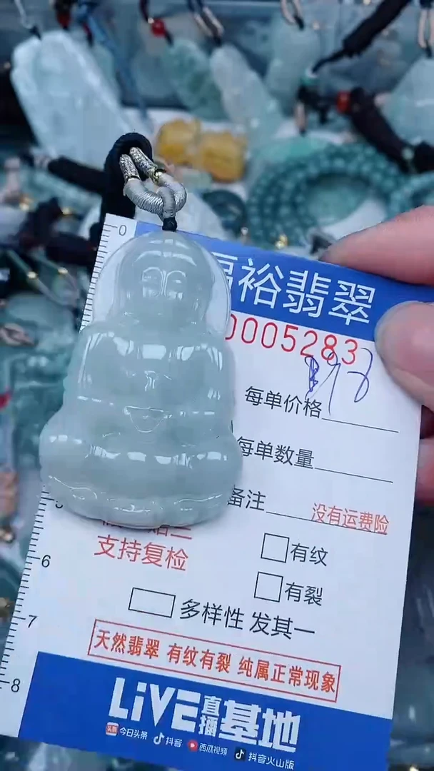 【闪购商品】翡翠颈饰未镶嵌...0005283