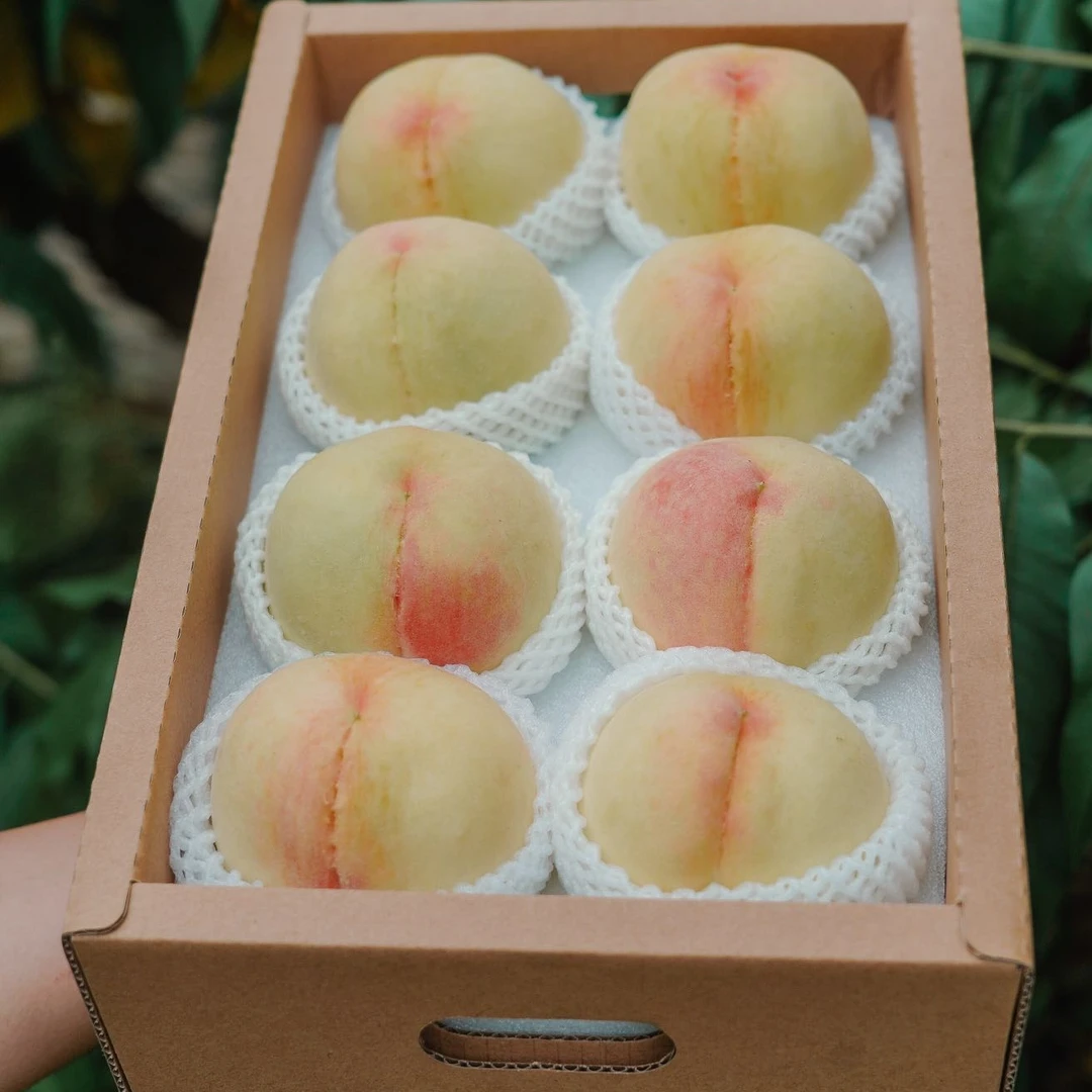 阳山水蜜桃5-6两8只装一盒装