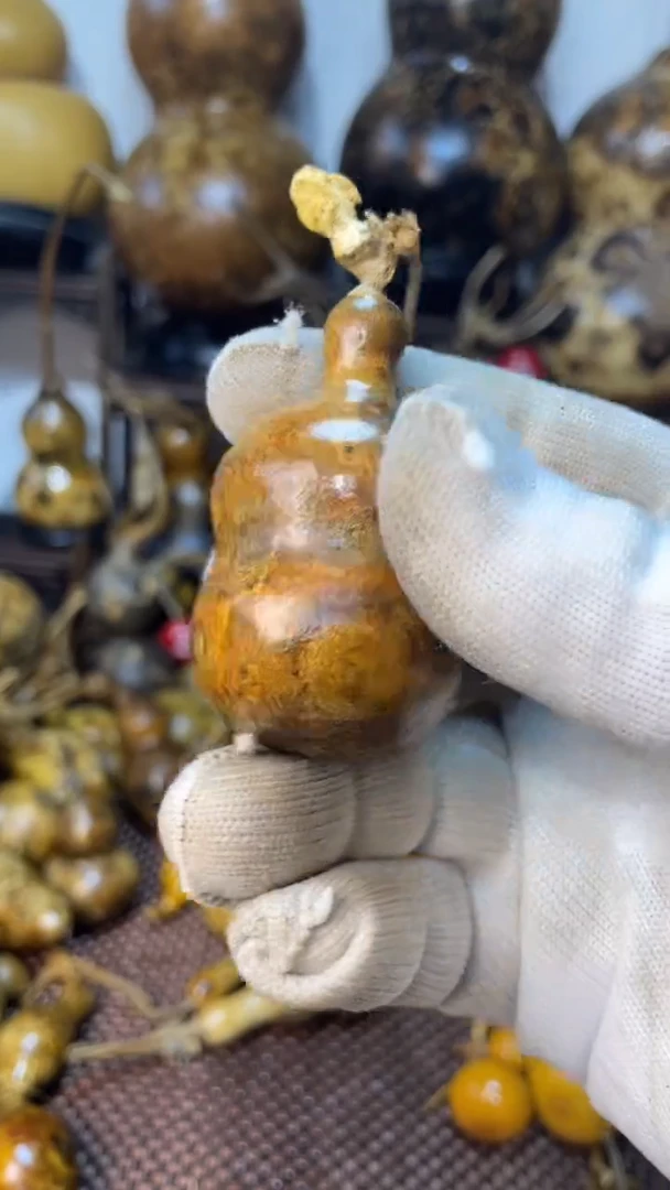 【闪购商品】葫芦葫芦葫芦葫芦