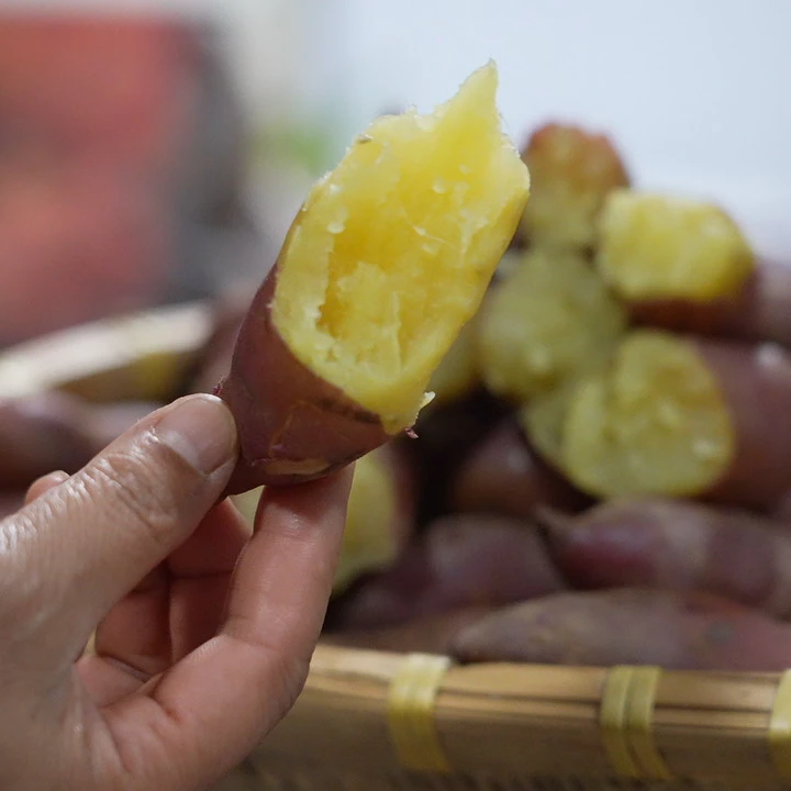 云雾粮仓山顶将军红地瓜5斤包邮